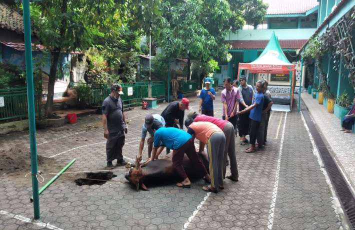 Pelaksanaan Idul Qurban 1444 H di SD Al Irsyad 01 Cilacap